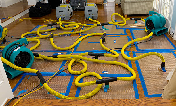 Professional Crawl Space Water Removal technician working in Pine Brook, NJ